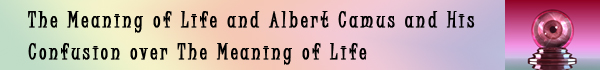 The Meaning of Life and Albert Camus and His Confusion