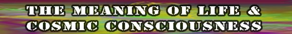 The Meaning of Life and Cosmic Consciousness